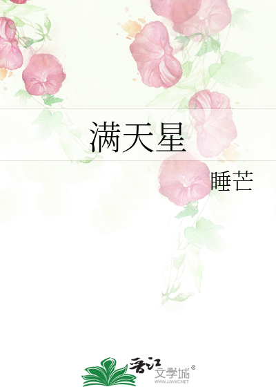 满天星 封面